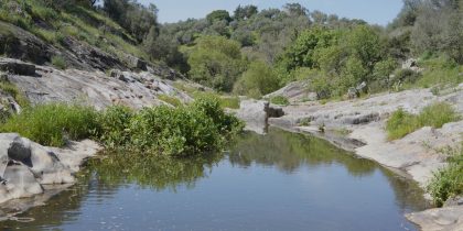 Vamos Falar de Turismo… Sustentável