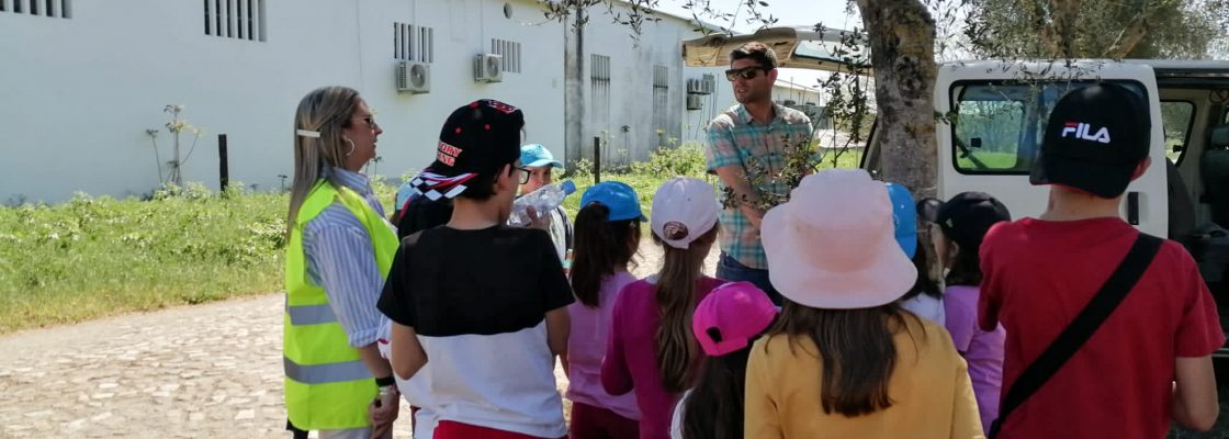 Município de Montemor-o-Novo ajuda a plantar árvores na Ecopista