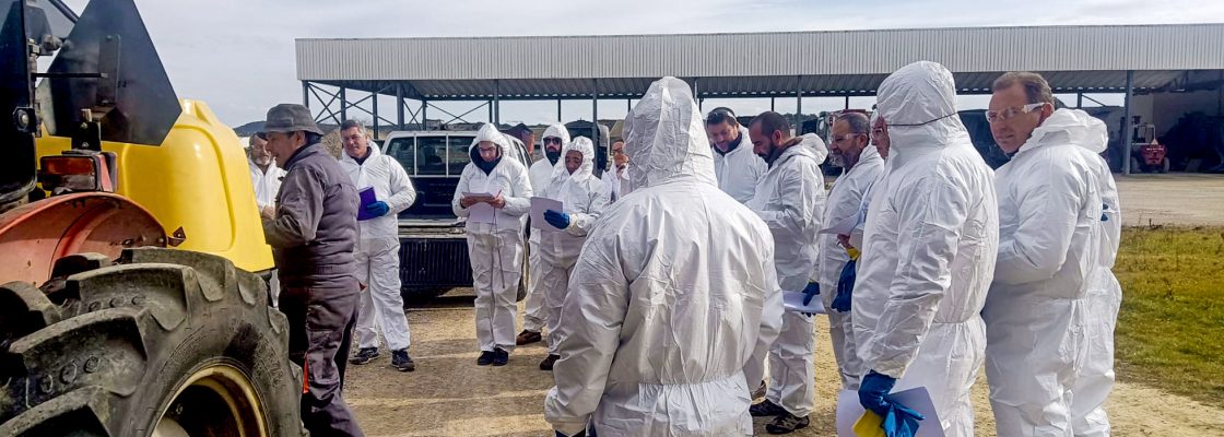 Editado FOTO CONTROLO DE VEGETACAO EM ESPAÇOS PUBLICOS
