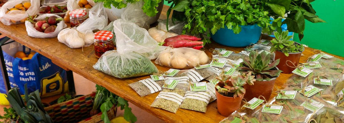 Feira do Mateus anima Escola de São Mateus