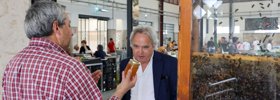 Dia Mundial da Abelha no Mercado Municipal
