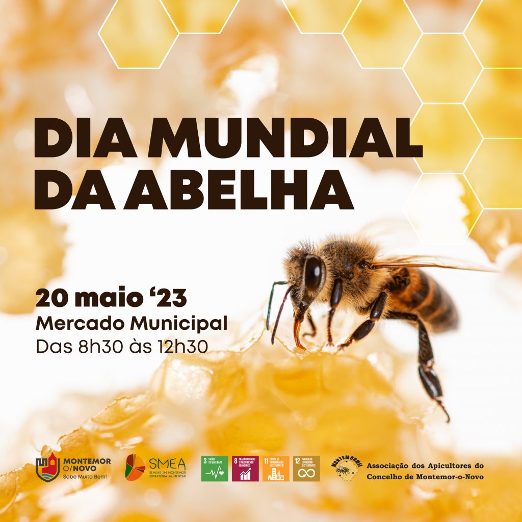 Dia Mundial da Abelha Portal Institucional do Município de Montemor O