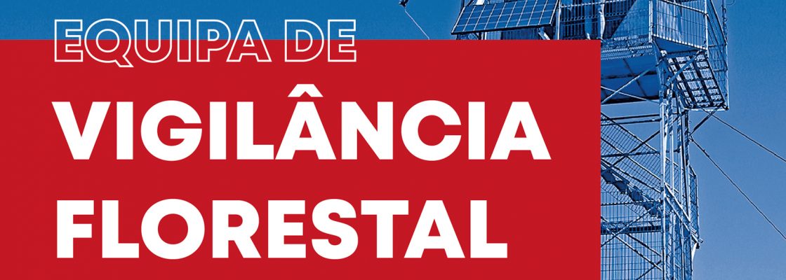 Programa de Voluntariado Jovem – Equipa de Vigilância Florestal 2023