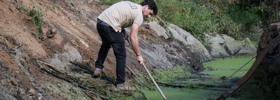 Limpeza Almansor (27)-2