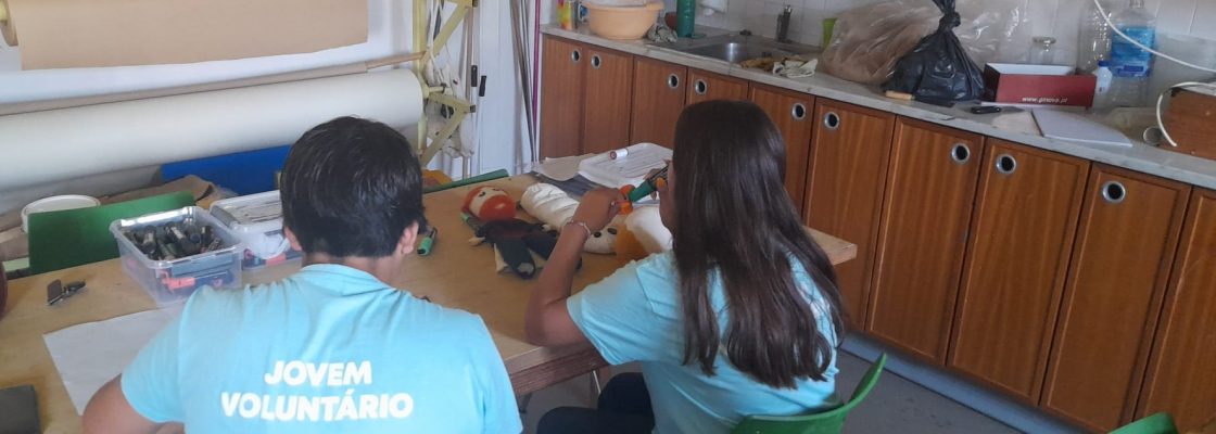 Programa de Verao de Voluntarido Jovem_13