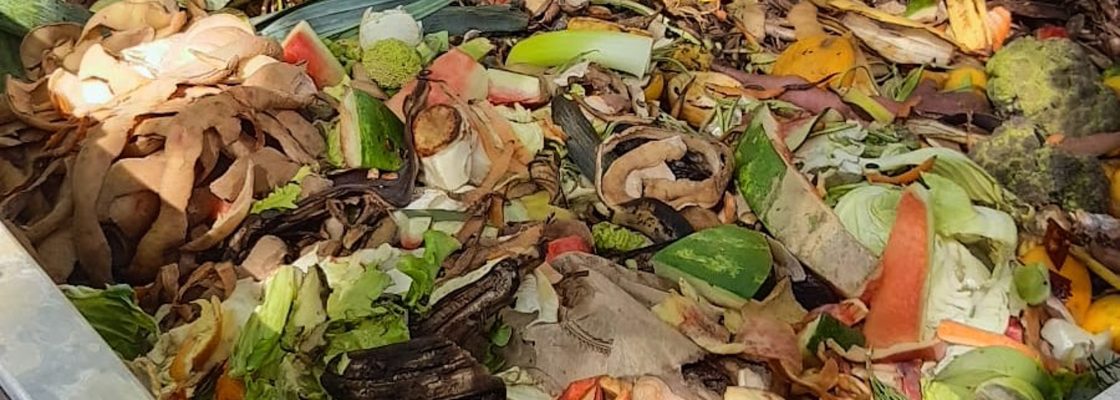Resíduos Orgânicos 2-2