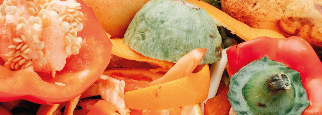 SMEA – Oficina Gastronómica – Dia Internacional da Consciencialização Sobre Perdas...
