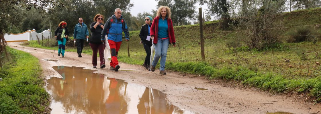 Caminhada por Olivais e Montados no “TransAlentejo Walking Festival”
