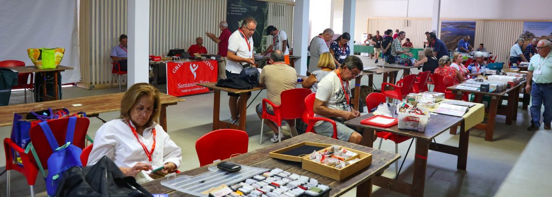 V Encon Colecionadores_SugarMor (70)