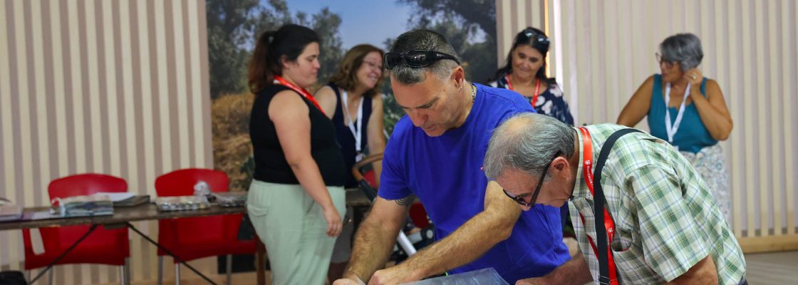 V Encon Colecionadores_SugarMor (8)