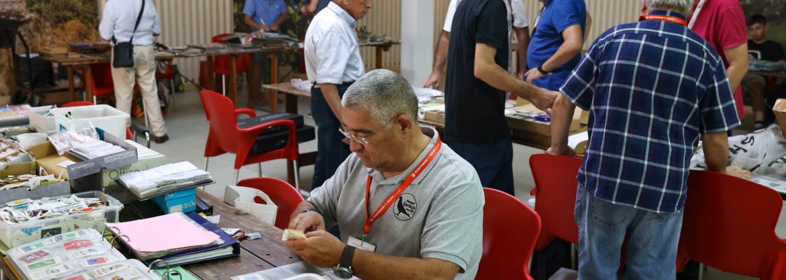 V Encon Colecionadores_SugarMor (9)