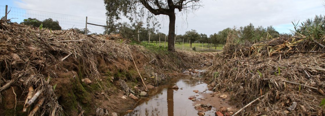 Município efetua limpeza na Ribeira de São Geraldo