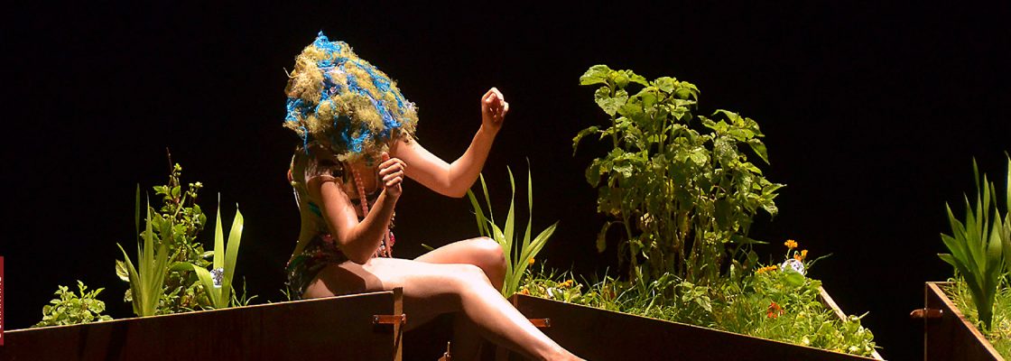 Odisseia Nacional: ‘Penélope’