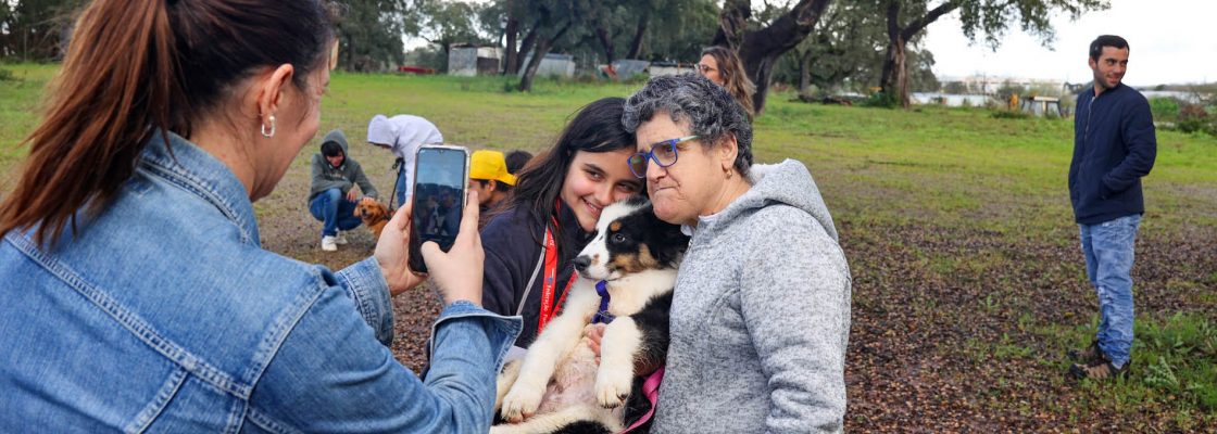 DogMorBol ajuda Canil Municipal e Patolas e Patinhas