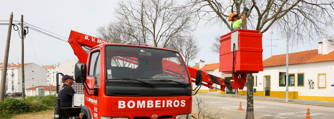 Município de Montemor-o-Novo faz últimos trabalhos de poda desta época