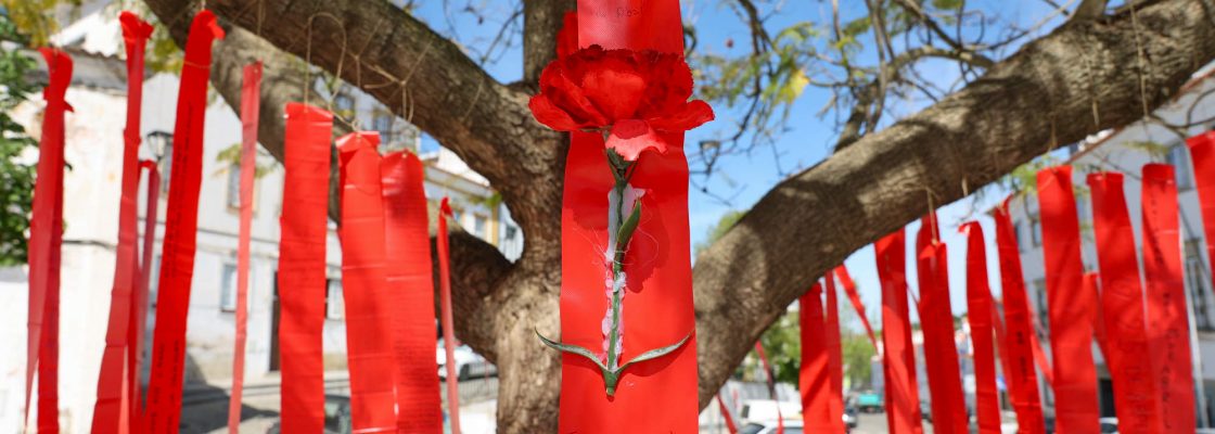 Decorações do Largo dos Paços do Concelho e Cineteatro Curvo Semedo celebram Abril