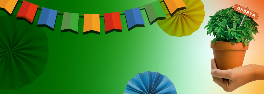 Comemorações de Santos Populares ’24: Entrega de Manjericos