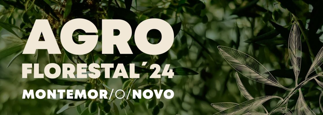 Programa de Voluntariado Jovem Agroflorestal ’24