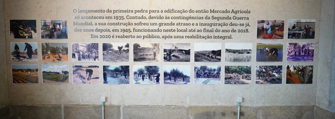 SMEA inaugurou exposição ‘Dia do Agricultor’ no Mercado Municipal