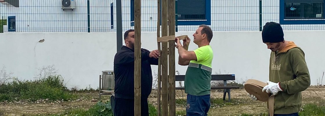 Continuação de trabalhos de plantação de árvores e arbustos na cidade