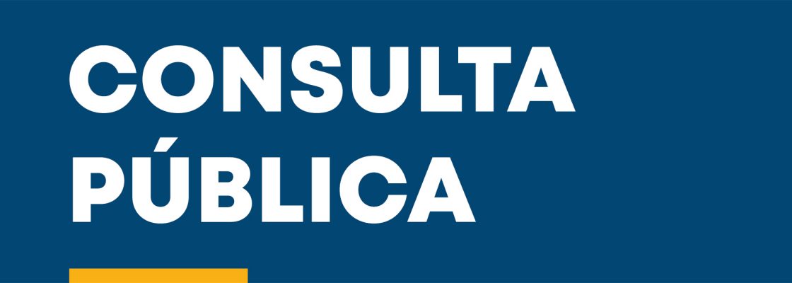 Projeto de Regulamento do Conselho Municipal de Cultura e Arte: abertura do período de Consulta ...
