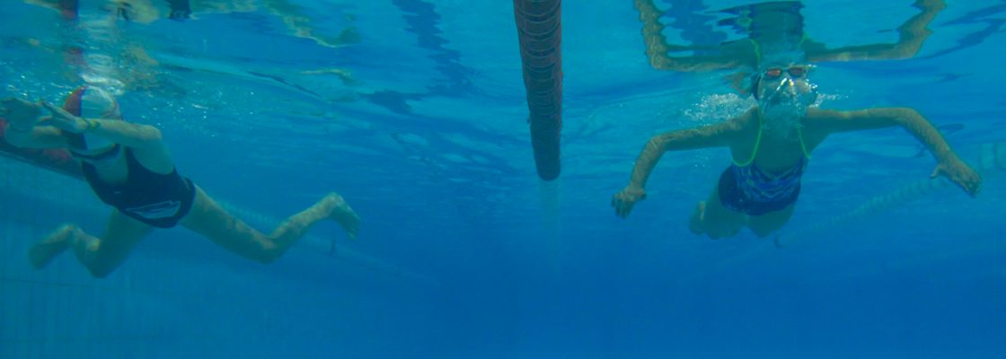 XII Torneio de Natação Cidade de Montemor-o-Novo juntou 150 nadadores na Piscina Coberta Municipal