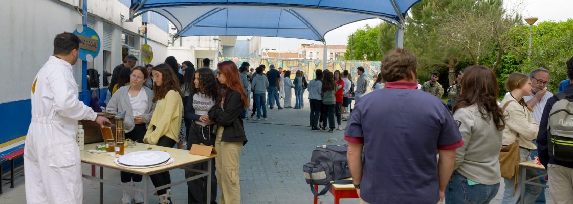 Feira das Profissões – Job Sharing na Escola EB 2,3 São João de Deus