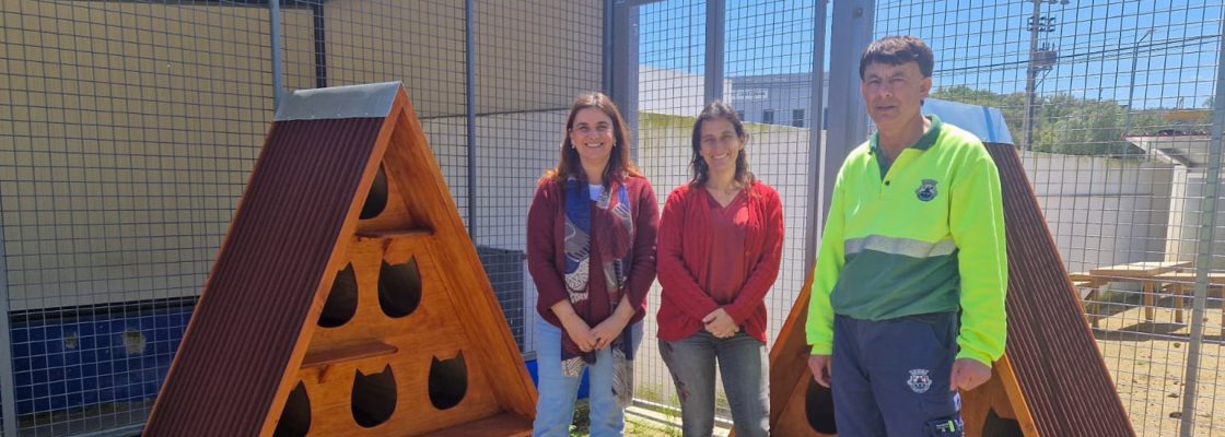 Município de Montemor-o-Novo instala primeiras casas-abrigo para gatos de rua