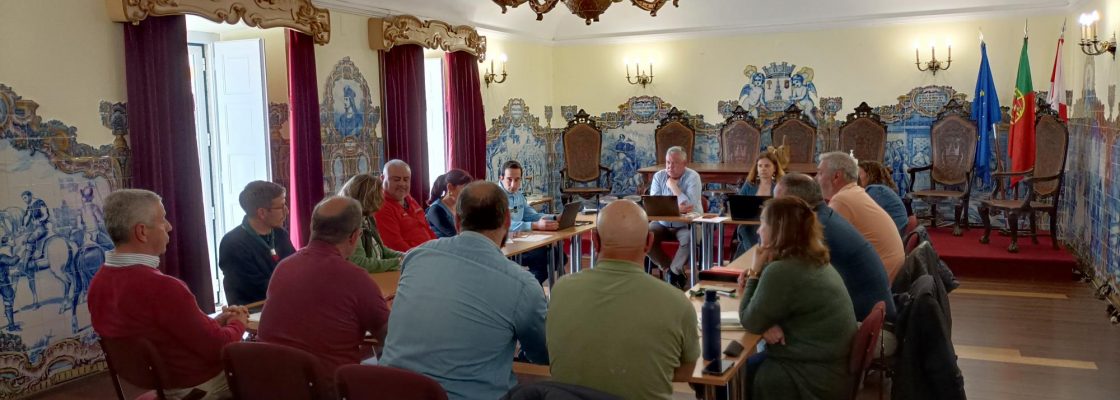 REUNIÃO DO CONSELHO MUNICIPAL DE SEGURANÇA REALIZOU-SE A 12 DE MAIO