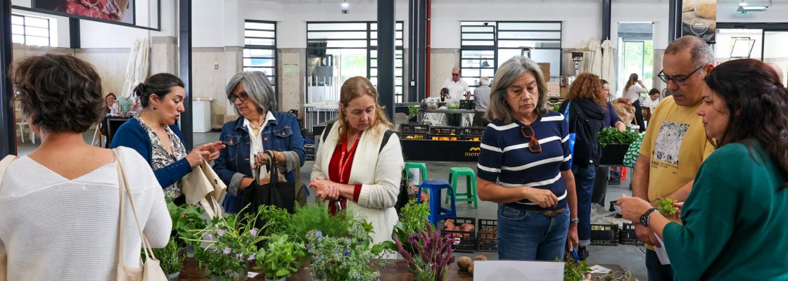 Plantas silvestres comestíveis em foco no Mercado Municipal