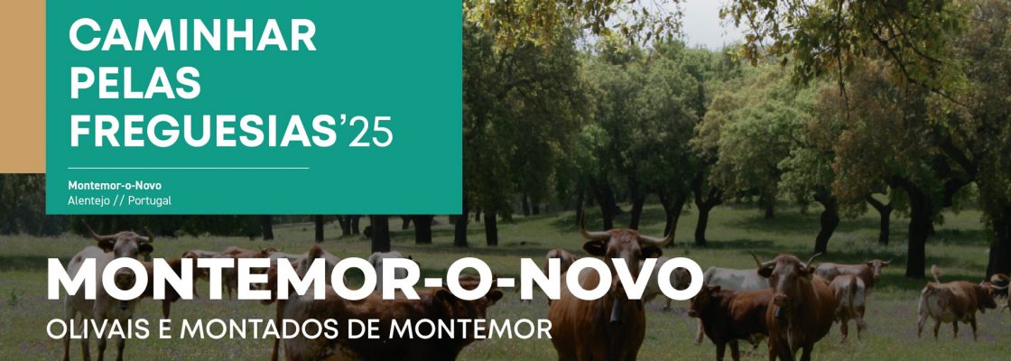 Caminhar Pelas Freguesias ’25: Montemor-o-Novo