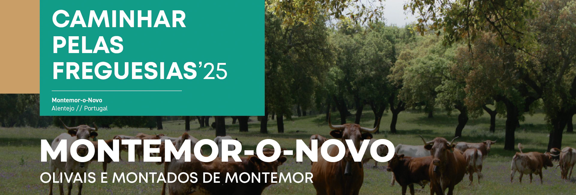 Caminhar Pelas Freguesias ’25: Montemor-o-Novo