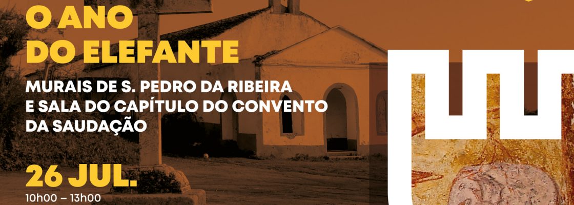 Visita ‘O Ano do Elefante (…)’