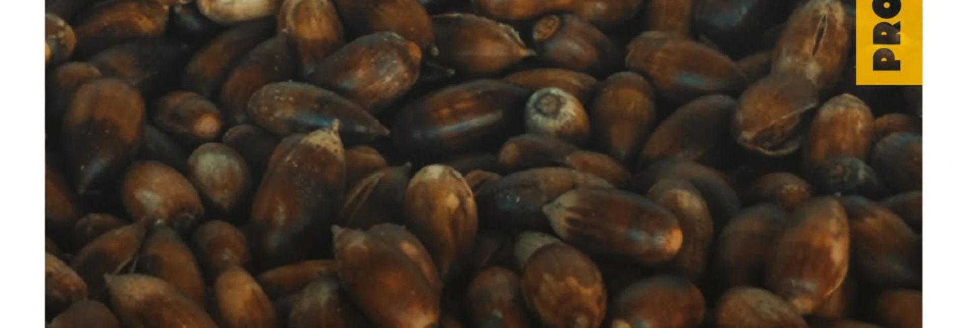 574346214_17946841953059572_8433134419183503147_n