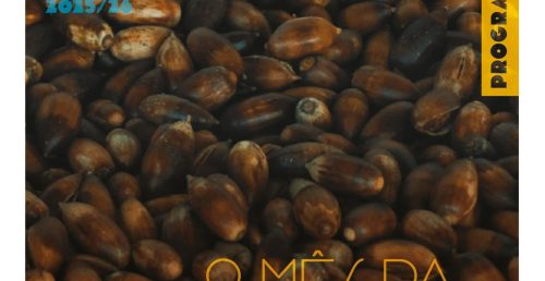 AO SABOR DAS ESTAÇÕES | NOVEMBRO É MÊS DA BOLOTA