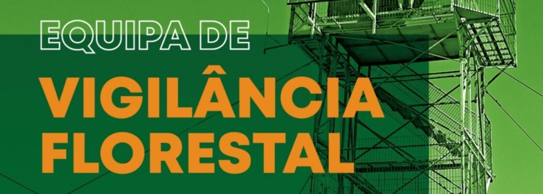 Programa de Voluntariado Jovem: Vigilância Florestal 2026