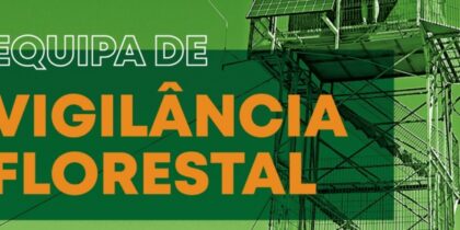 Programa de Voluntariado Jovem: Vigilância Florestal 2026