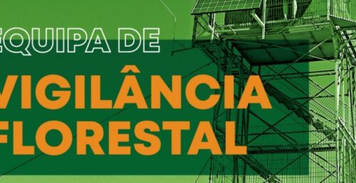 Programa de Voluntariado Jovem: Vigilância Florestal 2026